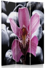 Gario Paraván Zen orchidea virággal Méret: 110 x 170 cm, Kivitelezés: Klasszikus paraván