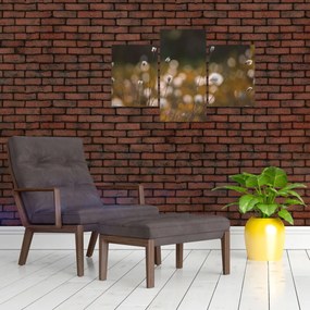 Kép - Gyapotfűvel borított rét N⁰2 (90x60 cm)