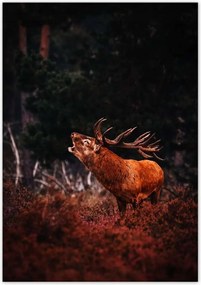 Poszterek 70x100 Szarvas az erdőben