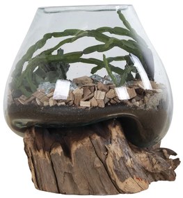 San Marino vízcsepp asztali dekoráció, teak fa/üveg, 20 cm