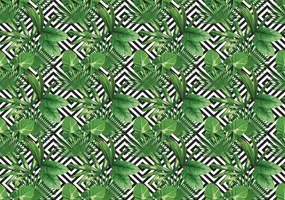 Fotótapéta - Geometria és levelek (152,5x104 cm)