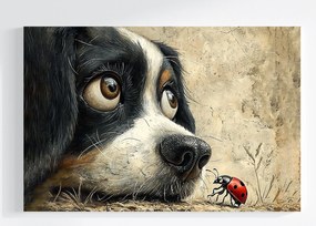 Vászonkép Canvas Kutya Berni Katicabogár Kíváncsiság Barátság 60x40