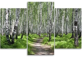 Gario Vászonkép Nyírfa erdő - 3 részes Méret: 120 x 80 cm
