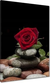 Vászonkép 70x100 Spa Wellness Relaxáció Víz