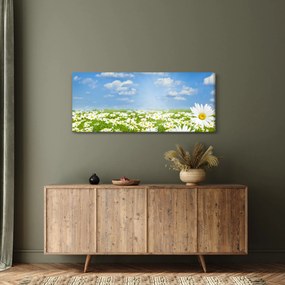 A virágzó rét százszorszépekkel képe (120x50 cm)