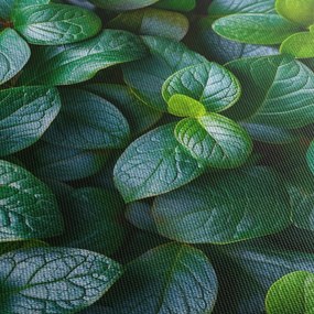 Kép - Zöld növények (120x50 cm)