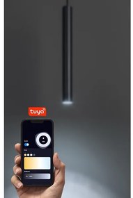 Rabalux 70132 - LED dimmelhető csillár zsinóron 1-fázisú sínrendszerhez LiTrack LED/5W/24V