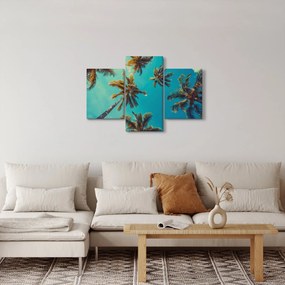 Kép - Magas pálmafák (90x60 cm)