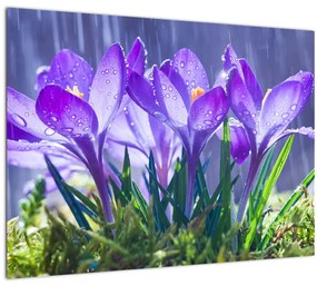 Virágok az esőben képe (üvegen) (70x50 cm)