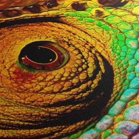 Kép - Kaméleon (120x50 cm)