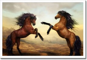 Poszterek keretben 60x40 Lovak paripák