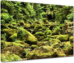 Vászonkép 40x30 Tátra Lengyel hegyek Kilátás