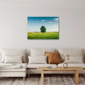 Fa képe a réten (70x50 cm)