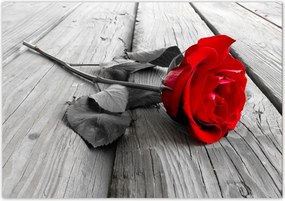 Fotótapéta flizelina 312x219 Rózsa a hídon