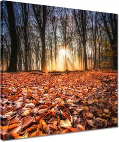 Vászonkép 40x40 Őszi kilátás Tájkép