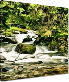 Vászonkép 60x60 Folyó a Tátrában
