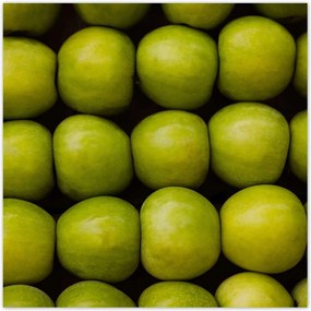 Poszterek 70x70 Zöld alma Alma