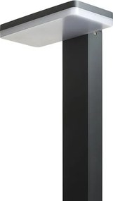 RENDL RINA állólámpa antracitszürke 230V LED 12W IP44 3000K