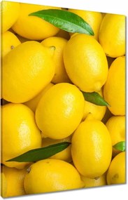 Vászonkép 60x80 Sok citrom