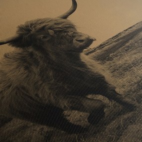 Kép - Skót tehén menekül (90x60 cm)