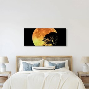 Árnyékok a holdfényben képe (120x50 cm)