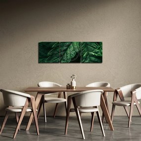 Kép - A lap részletei (órával) (90x30 cm)