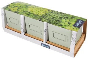Fém virágcserép készlet fűszernövényekhez 3 db-os Greenish – Orion