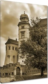 Vászonkép 80x120 Krakkó Wawel Műemlékek