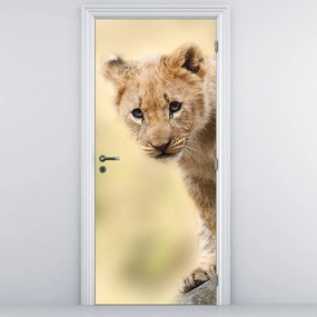 Fotótapéta ajtóra - Oroszlánkölyök (95x205cm)