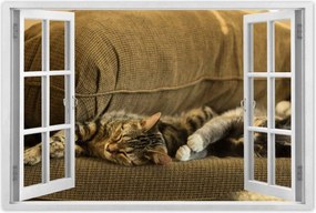 Poszterek 120x80 Cica Cicák