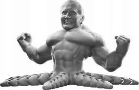 Figura Pápai Sorozat Nagy Lengyel Örök Szürke 61x38 MM