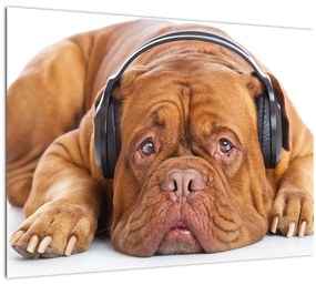 Kép egy kutya fejhallgatóval (70x50 cm)