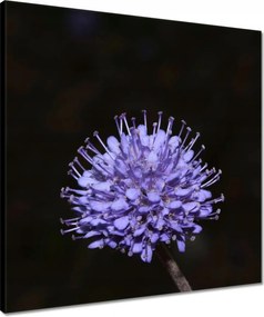 Vászonkép 50x50 Nőnap Ajándék Love