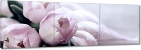 Vászonkép 120x40 Tulipánok Virágok