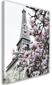 Gario Vászonkép Eiffel-torony és magnóliák - Dmitry Belov Méret: 40 x 60 cm