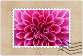 Poszterek 60x40 Liliom