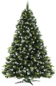 Karácsonyfa - Erdeifenyő 220cm Exclusive