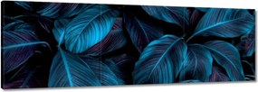Vászonkép 150x50 Gyönyörű kék levelek