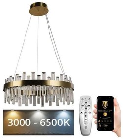 NEDES LED Dimmelhető kristály csillár zsinóron LED/80W/230V + távirányítás ND3600