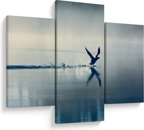 Kép - Búvár (90x60 cm)