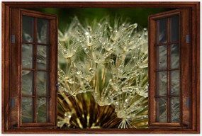 Poszterek 60x40 Pitypang Virág Virágok