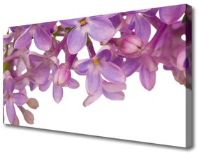 Vászonkép nyomtatás virágok növények 125x50 cm