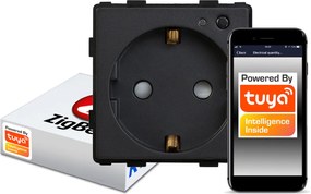 Intelligens süllyesztett aljzat ZigBee Tuya Rtx Sh C