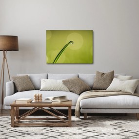 Víz csepp a fűben képe (70x50 cm)