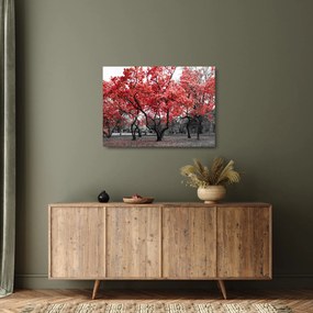 Kép - vörös fák, Central Park, New York (üvegen) (70x50 cm)