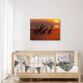 Üveg kép - Zsiráfok az afrikai szavannán (70x50 cm)
