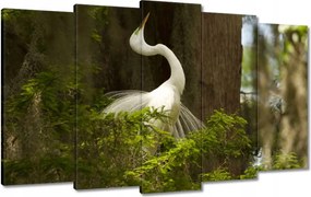 Vászonkép 100x60 Kalapos madár Tájkép Kilátás