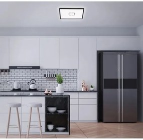 Briloner 3393-015 - LED Mennyezeti lámpa FREE LED/22W/230V 42x42 cm
