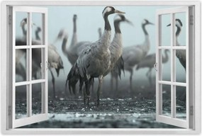 Poszterek 60x40 Darvak a ködben