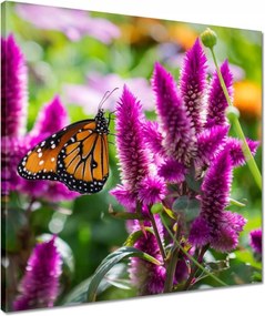 Vászonkép 50x50 Pillangó a virágokon